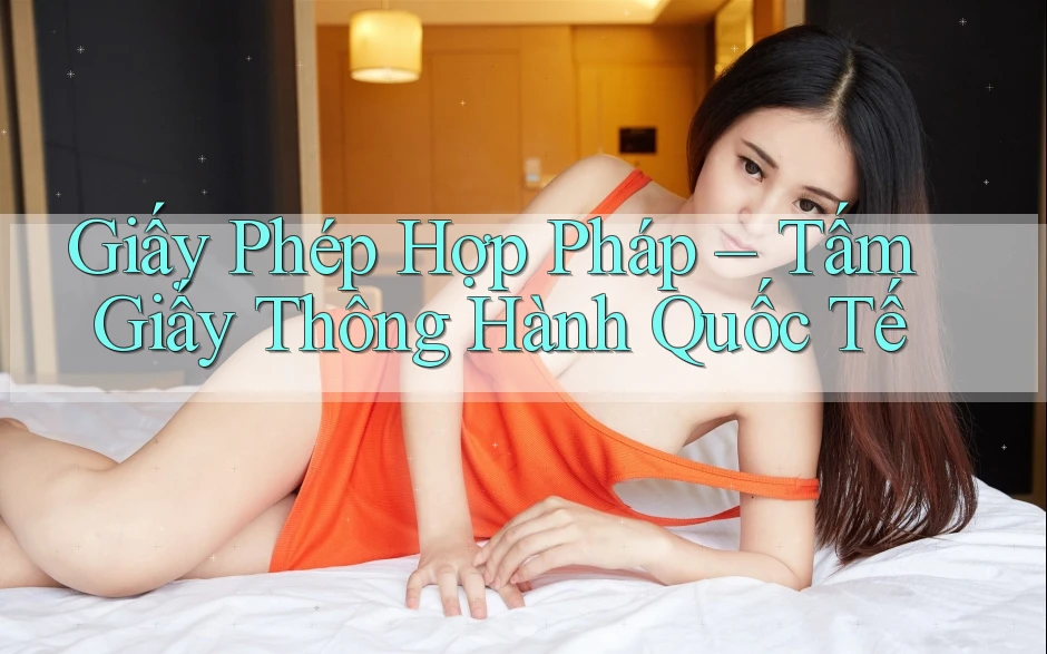 Giấy Phép Hợp Pháp – Tấm Giấy Thông Hành Quốc Tế Giấy Phép Hợp Pháp – Tấm Giấy Thông Hành Quốc Tế