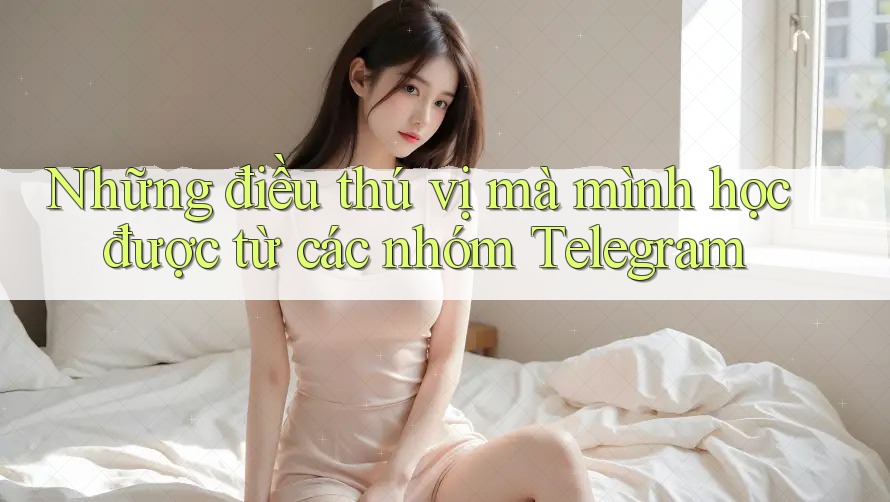 Những điều thú vị mà mình học được từ các nhóm Telegram