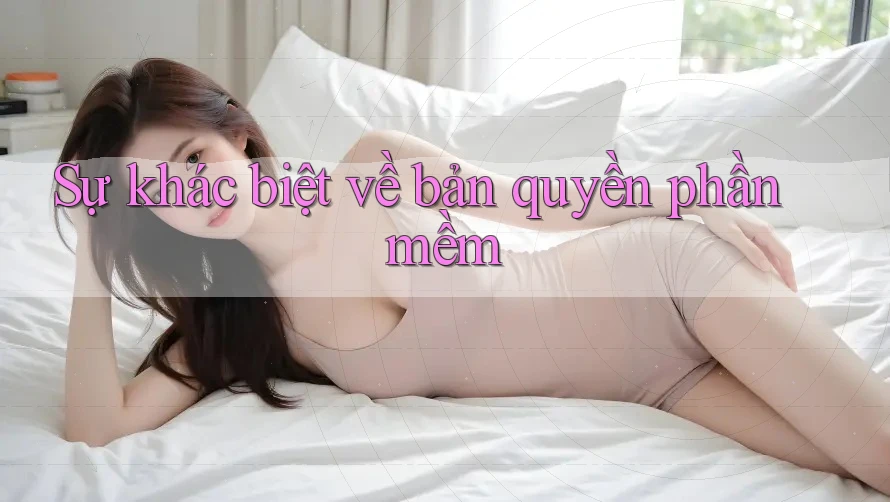 Sự khác biệt về bản quyền phần mềm
