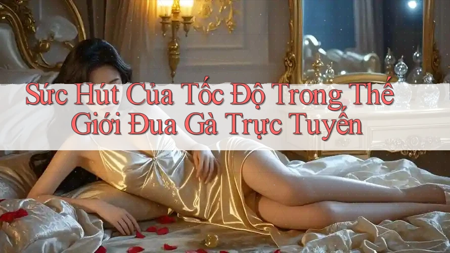 Sức Hút Của Tốc Độ Trong Thế Giới Đua Gà Trực Tuyến Sức Hút Của Tốc Độ Trong Thế Giới Đua Gà Trực Tuyến