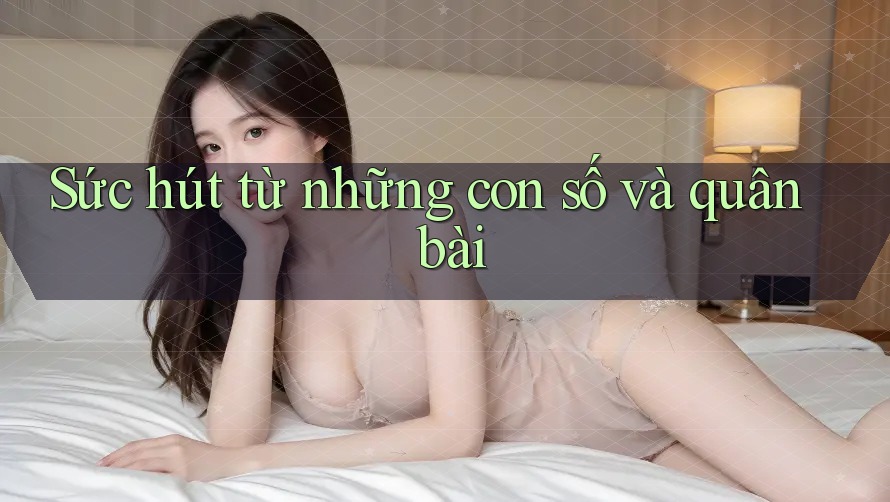 Sức hút từ những con số và quân bài