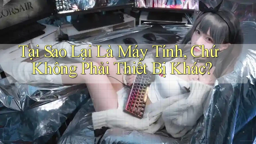 Tại Sao Lại Là Máy Tính, Chứ Không Phải Thiết Bị Khác?