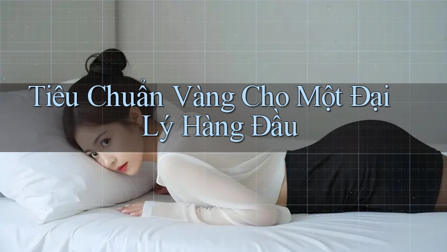 Tiêu Chuẩn Vàng Cho Một Đại Lý Hàng Đầu